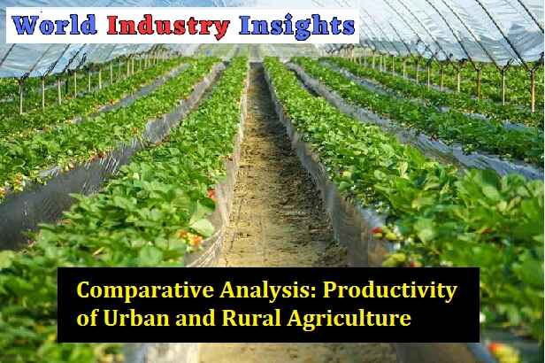 comparative-analysis-productivity-of-urban-and-rural-agriculture