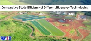 comparative-study-efficiency-of-different-bioenergy-technologies-2