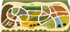 comparative-study-efficiency-of-different-permaculture-design-concepts