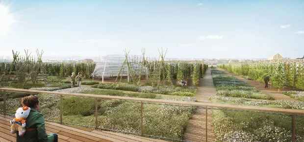 global-urban-agriculture-trends-a-cross-cultural-perspective-on-urban-farming-3
