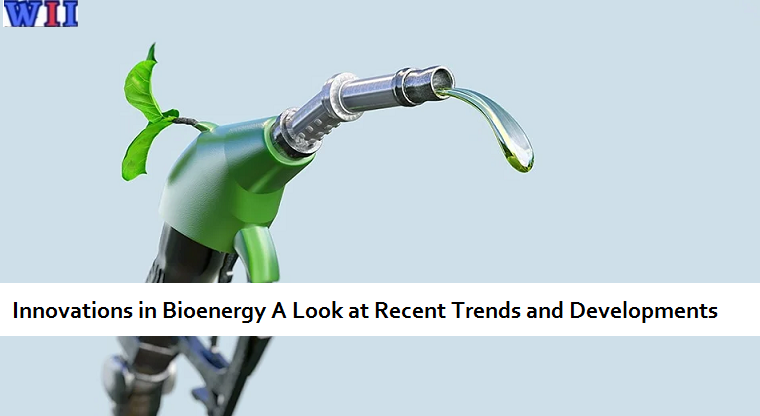 innovations-in-bioenergy-a-look-at-recent-trends-and-developments-2