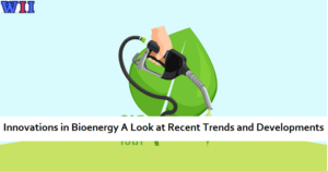 innovations-in-bioenergy-a-look-at-recent-trends-and-developments-3
