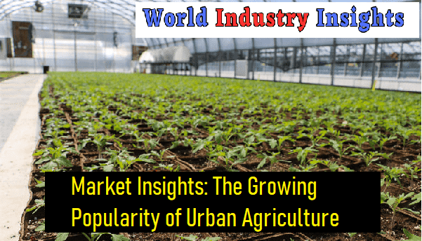 market-insights-the-growing-popularity-of-urban-agriculture