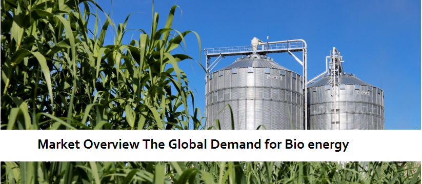 market-overview-the-global-demand-for-bio-energy-2