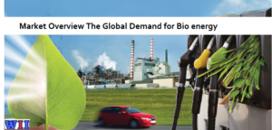 market-overview-the-global-demand-for-bio-energy-3