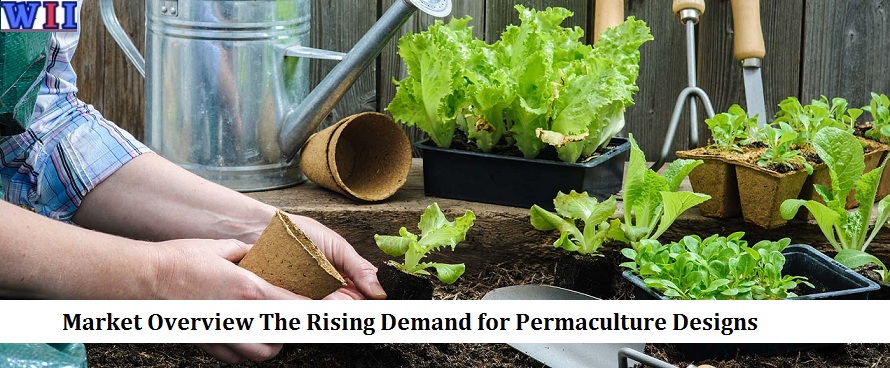 market-overview-the-rising-demand-for-permaculture-designs-2