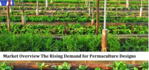 market-overview-the-rising-demand-for-permaculture-designs-3