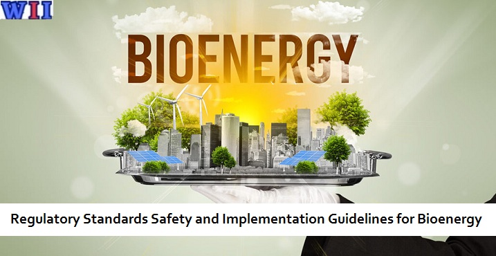 regulatory-standards-safety-and-implementation-guidelines-for-bioenergy