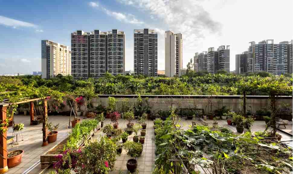 technological-advancements-in-urban-agriculture-practices-3