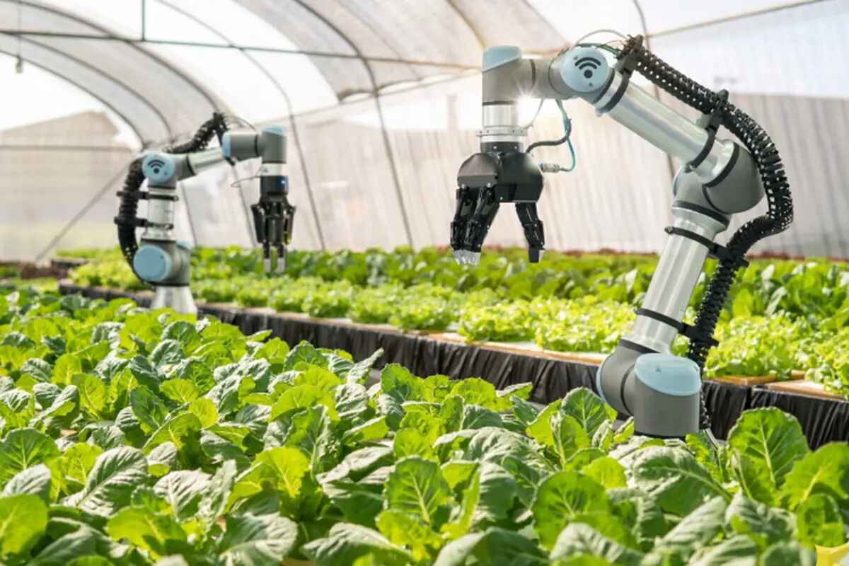 technology-in-organic-farming-3