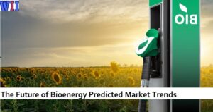 the-future-of-bioenergy-predicted-market-trends