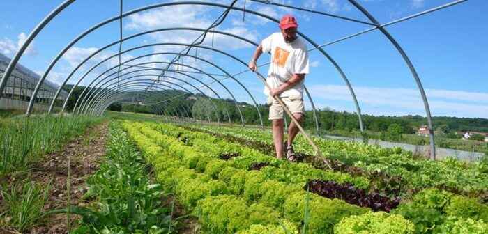 the-future-of-organic-farming-predicted-market-trends-2
