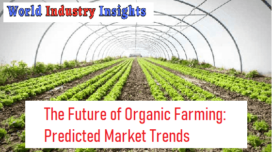 the-future-of-organic-farming-predicted-market-trends