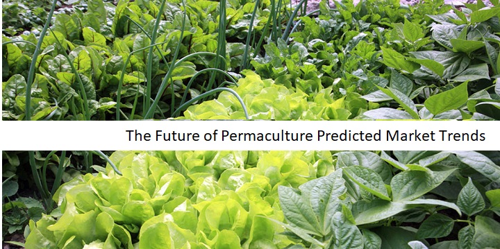 the-future-of-permaculture-predicted-market-trends-2