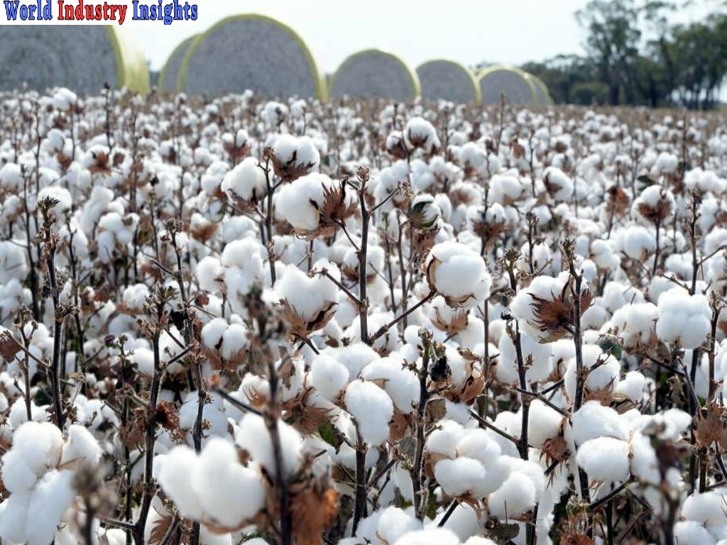 Cotton Futures Market Influencing Factors and Forecasting Price Changes