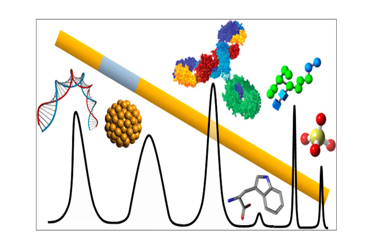 Capillary Electrophoresis Market