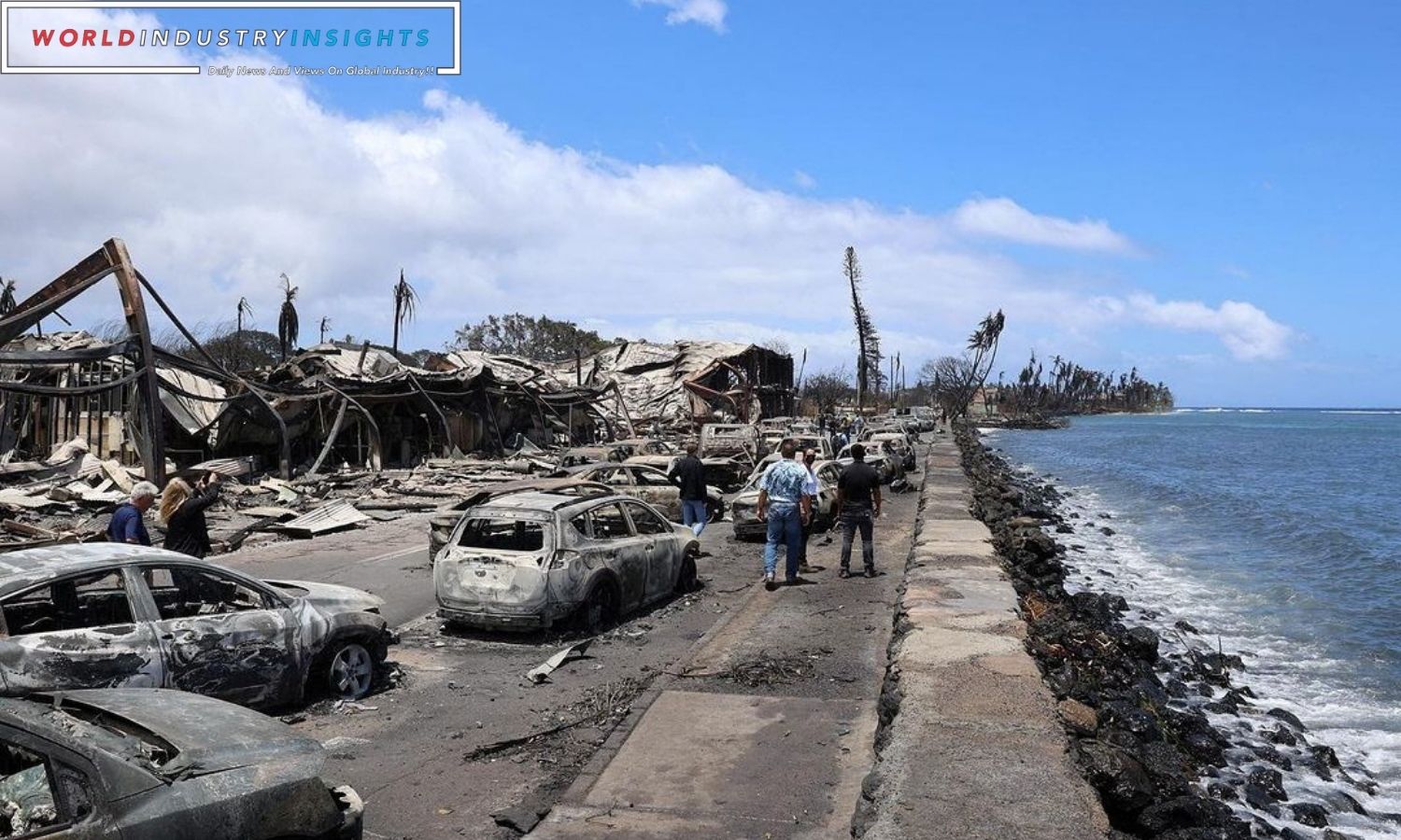 Maui Fire Aftermath