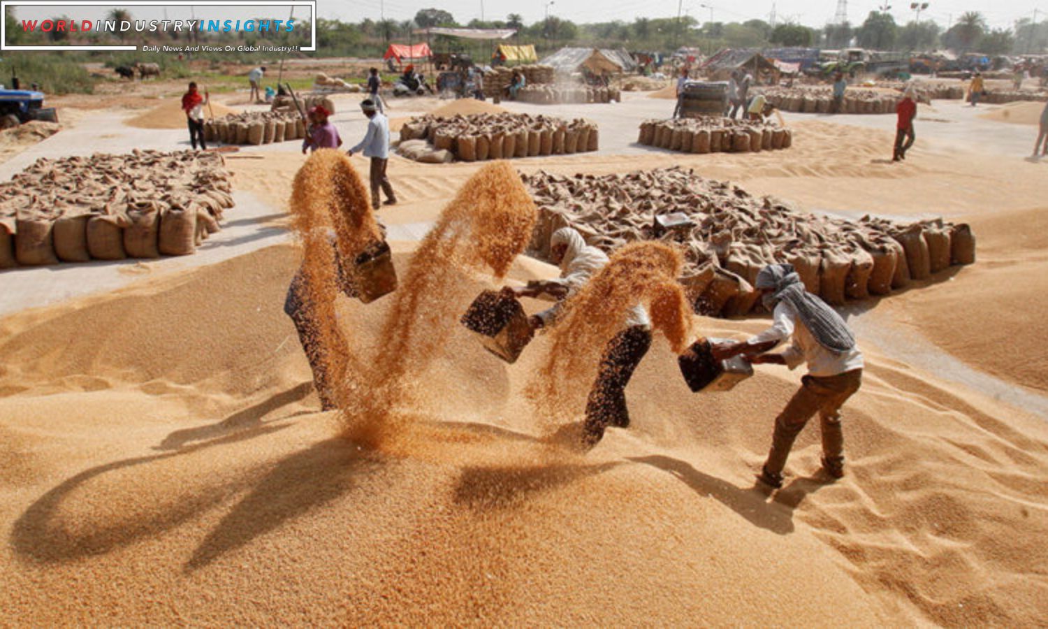 China Wheat Import Surge