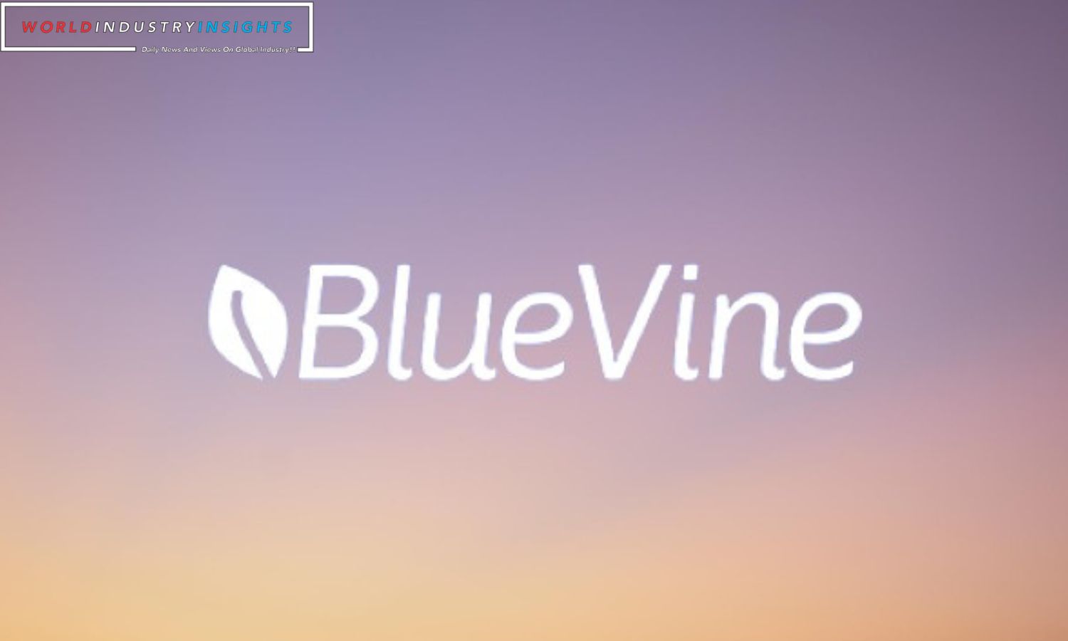 Bluevine Surpasses 1B Dollar