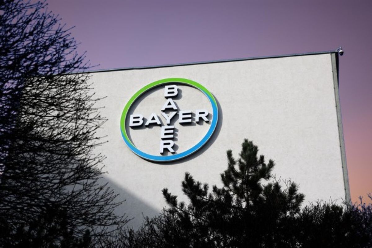 Bayer Stock Plunge