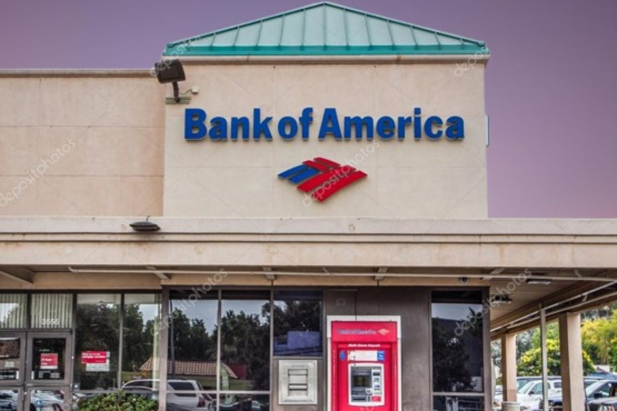 BofA's Financial Landscape