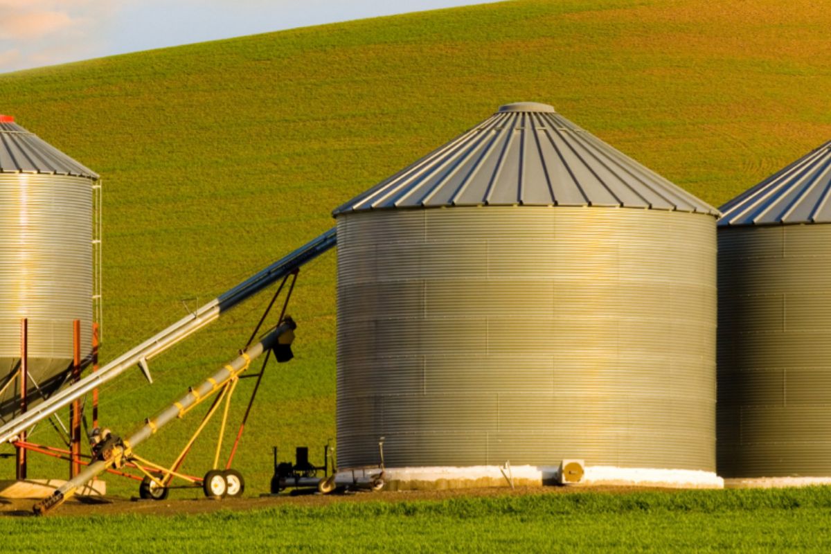 Crisis in American Farms