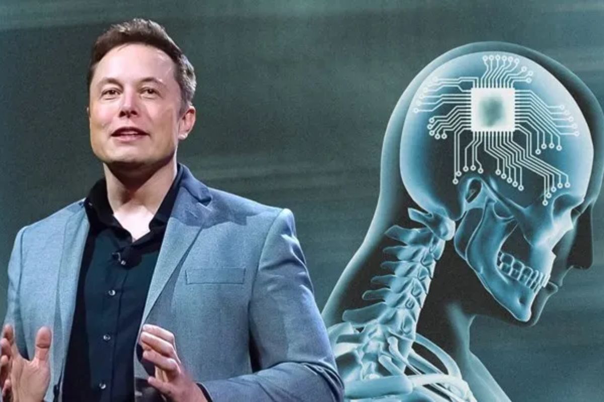 Elon Musk's Stark AI Alert