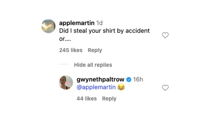 Gwyneth Paltrow topless cooking video Instagram reactions