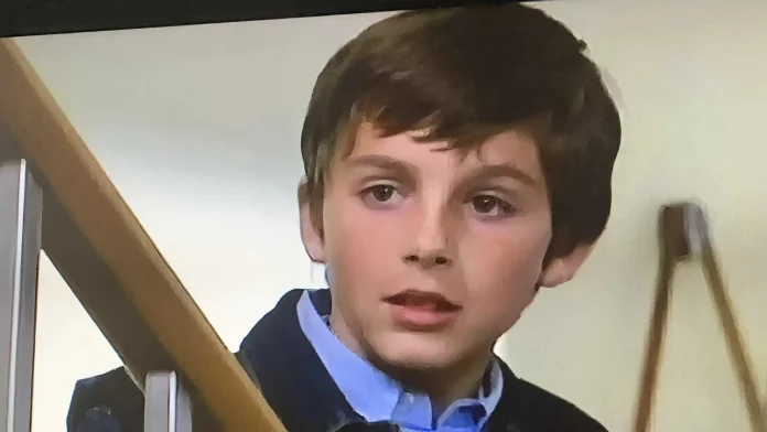 Timothée Chalamet Law & Order guest Timothée Chalamet Law & Order guest