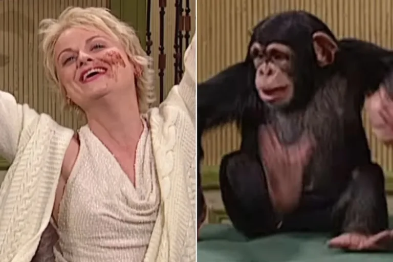 Image of Amy Poehler