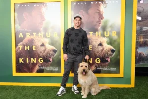 Mark Wahlberg’s Wild Flight Risk Transformation Hits HBO Max