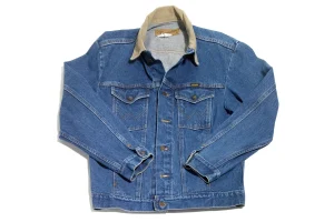 Rare Robert Redford Auction Photo Highlights Celebrity Benefit