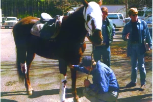 Robert Redford Reveals the First Movie That Inspired Him