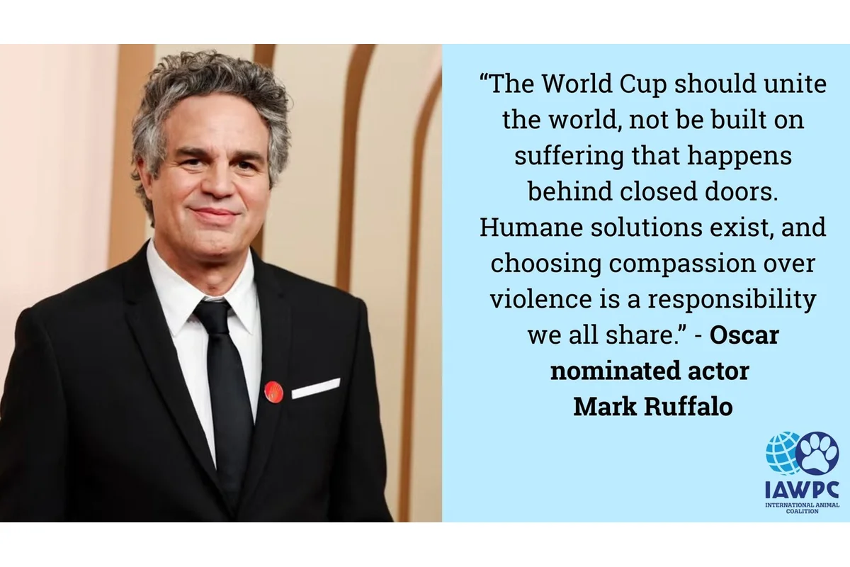 Mark Ruffalo