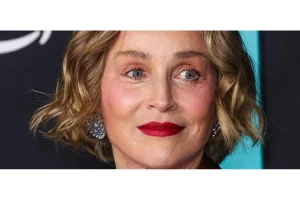 Sharon Stone’s Bold Euphoria Debut After Near-Fatal Stroke
