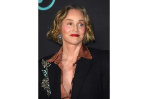 Sharon Stone Stuns on Red Carpet at 67 with Bold Look