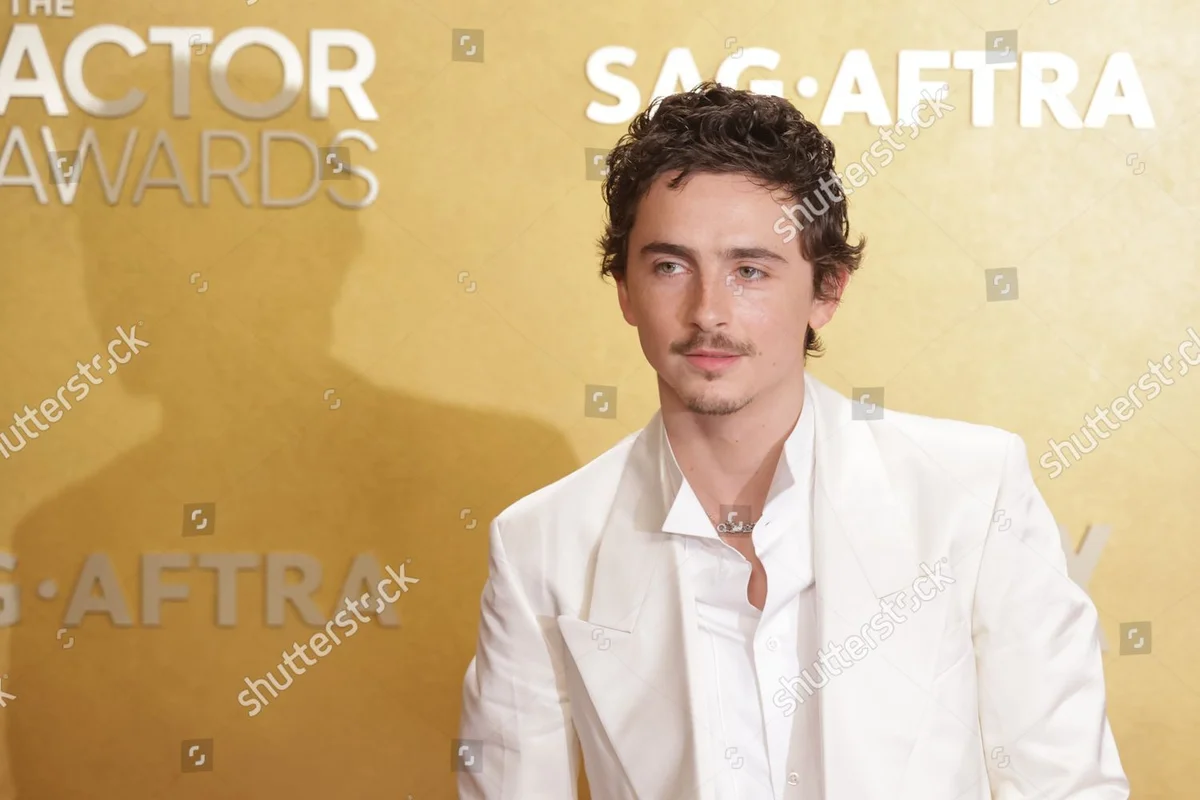 Timothée Chalamet