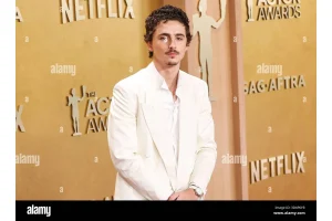 Timothée Chalamet Slammed Over Controversial Opera Remarks