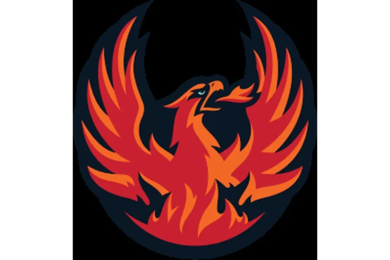 Image of Coachella Valley Firebirds