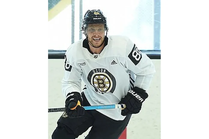 Picture of David Pastrnak - 2026-06-19 Image of David Pastrnak