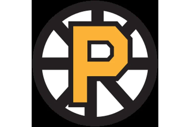 Image of Providence Bruins